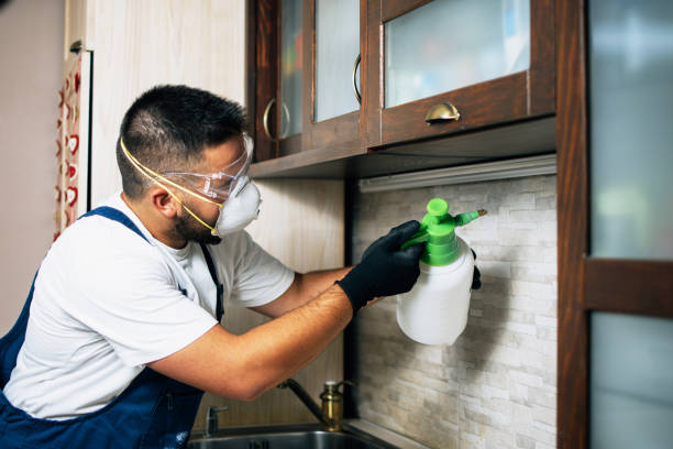 Best Mosquito Control Services  in Lisle, IL